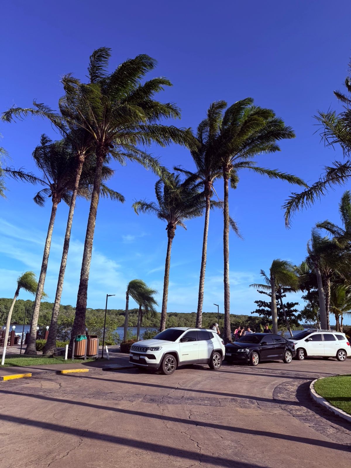 Registro real de transfer e passeio pelo sul da Bahia, foto 2